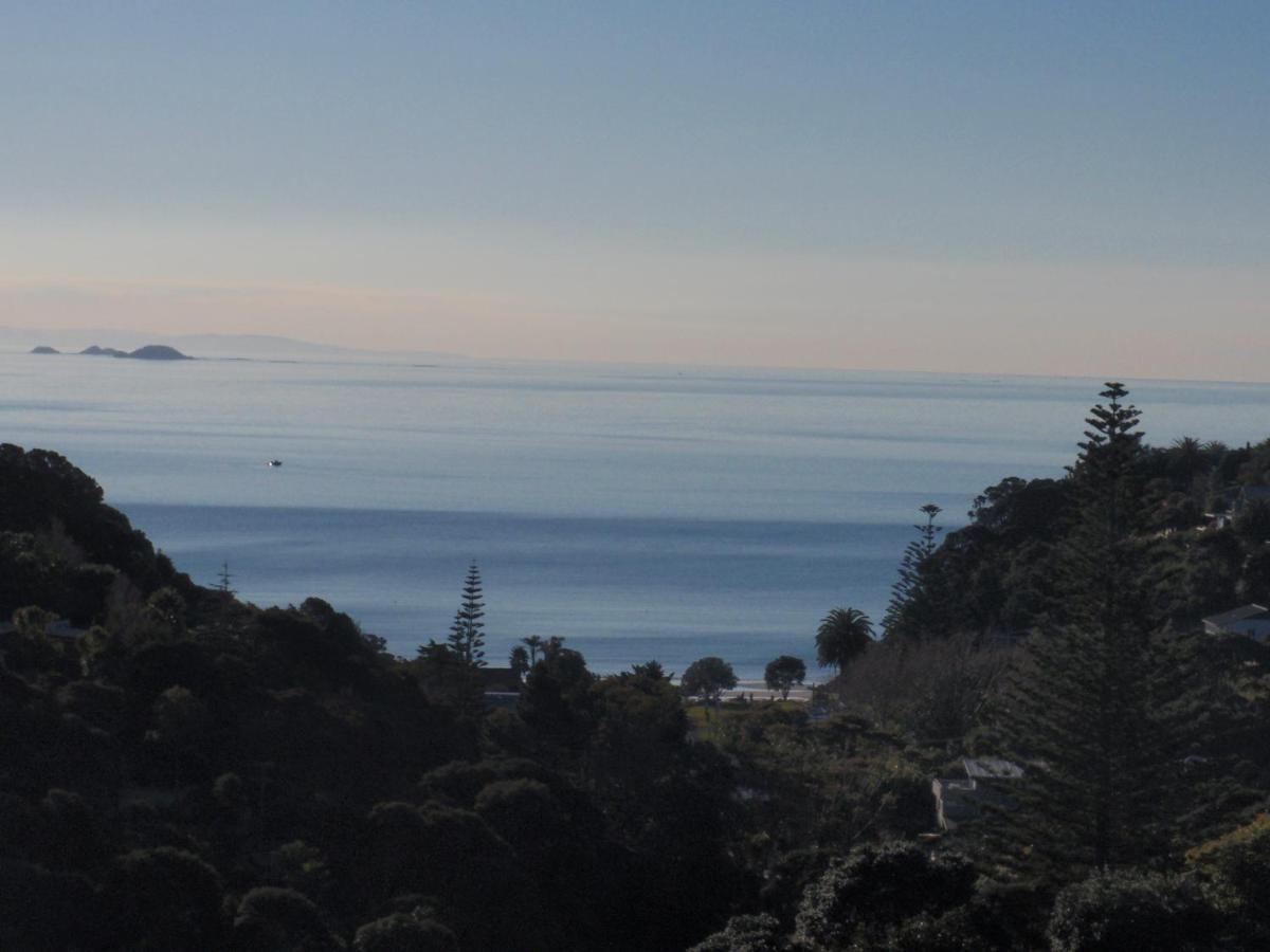 Supacute Character Cottage, Wifi, Sky Tv, Spa Bath, Spa Bath, Dble Kayak And Possibly A Car! Palm Beach Εξωτερικό φωτογραφία