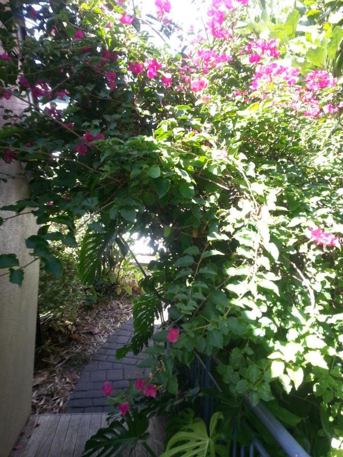 Supacute Character Cottage, Wifi, Sky Tv, Spa Bath, Spa Bath, Dble Kayak And Possibly A Car! Palm Beach Εξωτερικό φωτογραφία